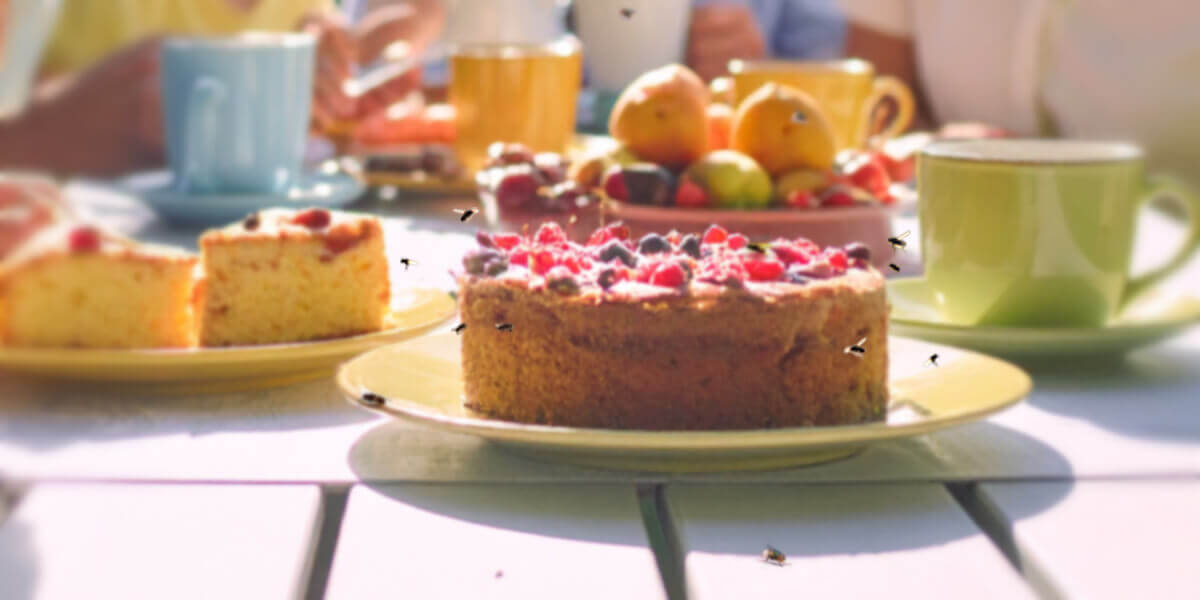 Ein gedeckter Tisch mit Fliegen um das Essen