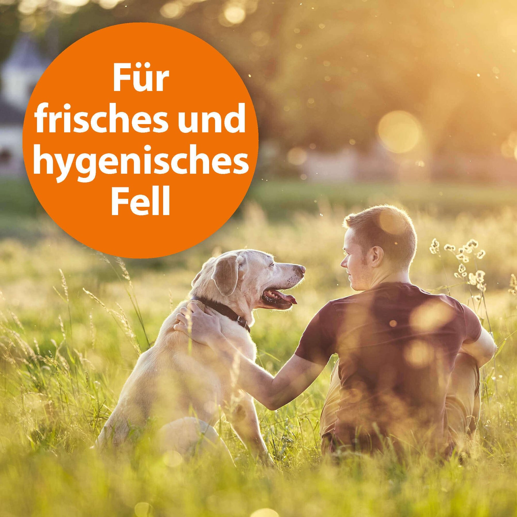 Herrchen mit seinem Hund sitzt auf Wiese mit der Schrift "Für frisches und hygienisches Fell"