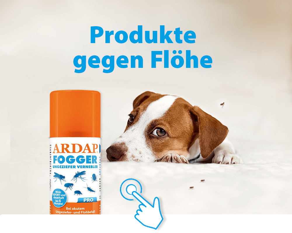 Bild von Hund ARDAP Fogger mit Text "Produkte gegen Flöhe"