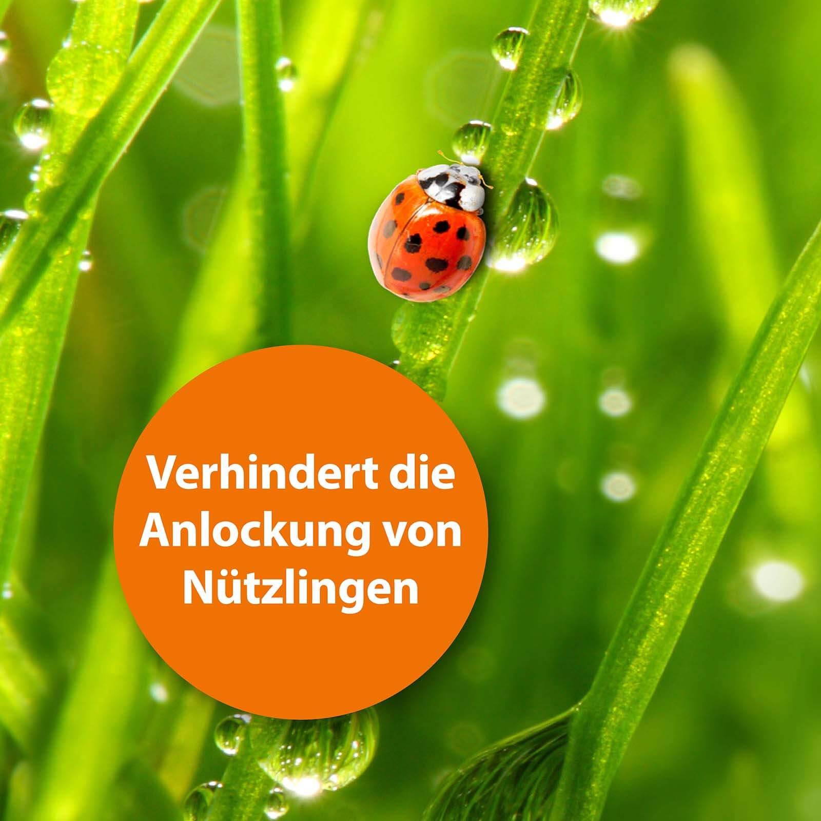 Marienkäfer sitzt im Gras mit der Schrift "Verhindert die Anlockung von Nützlingen"