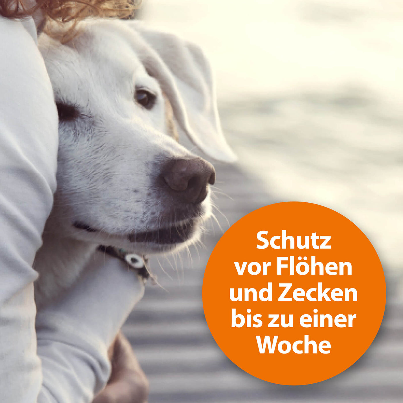 Frauchen umarmt Ihren Hund mit der Schrift "Schutz vor Flöhen, Zecken und Fliegen bis zu einer Woche"