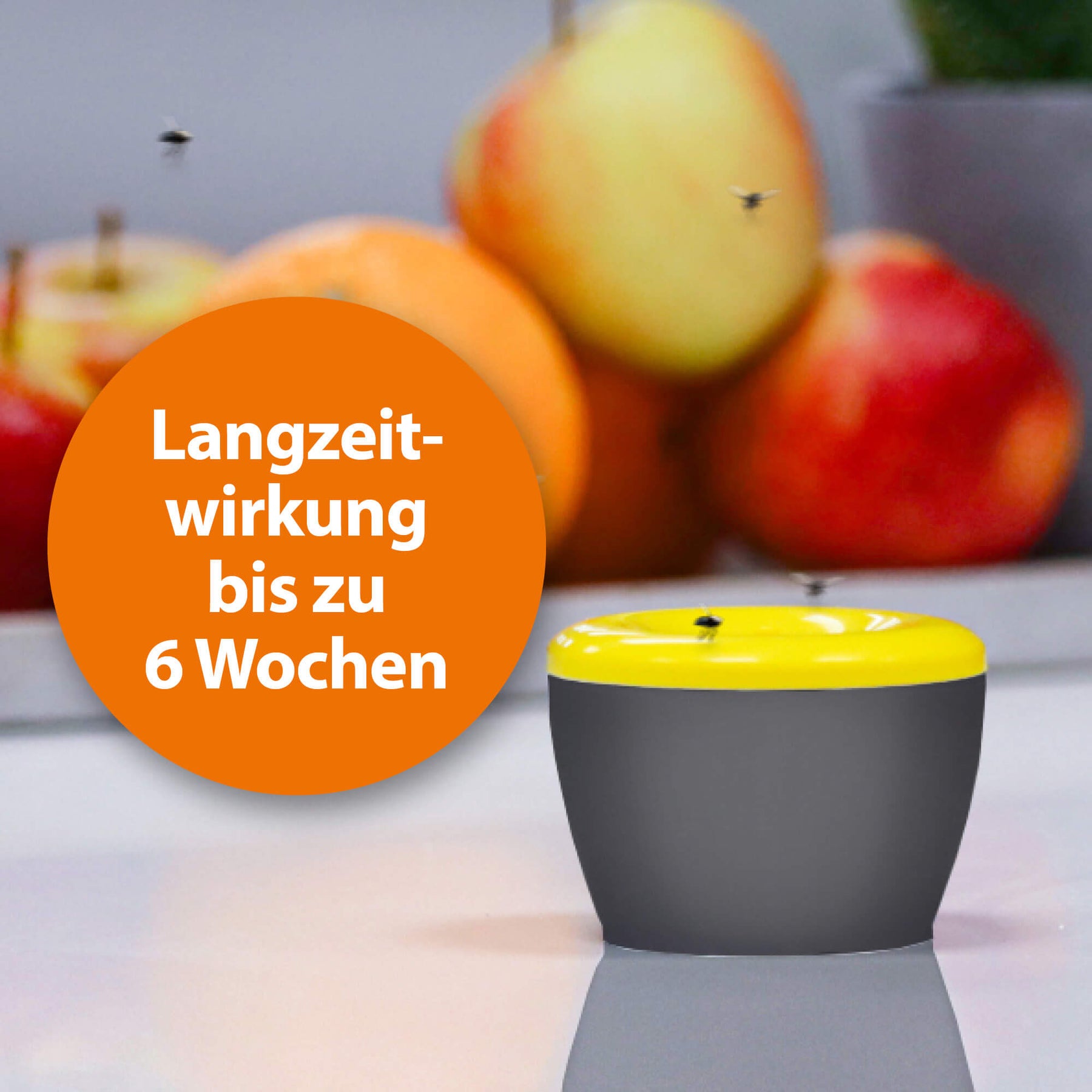 ARDAP Fruchtfliegenfalle mit Langzeitwirkung