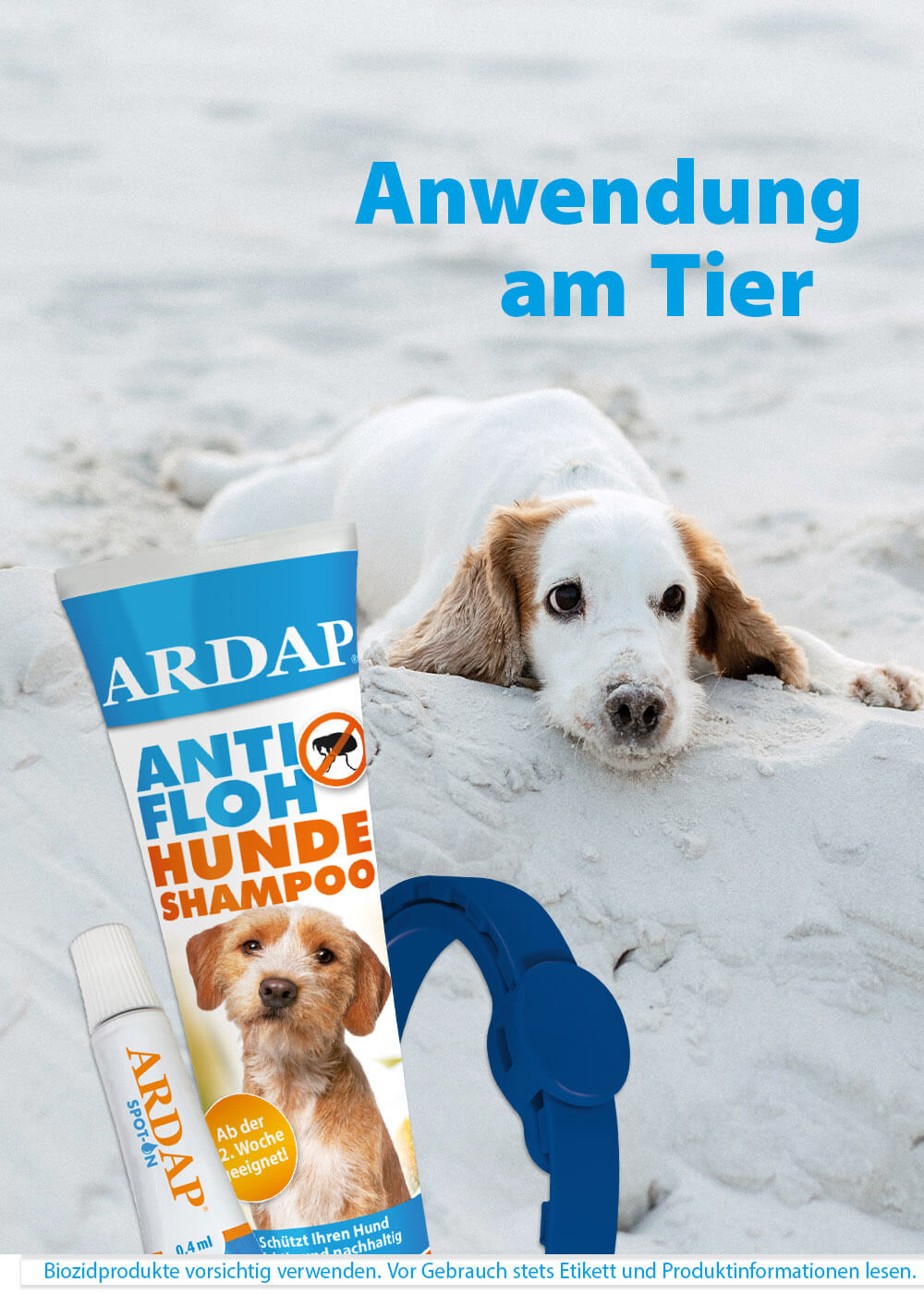 Hund am Strand und ARDAP Produkte zur Anwendung am Tier