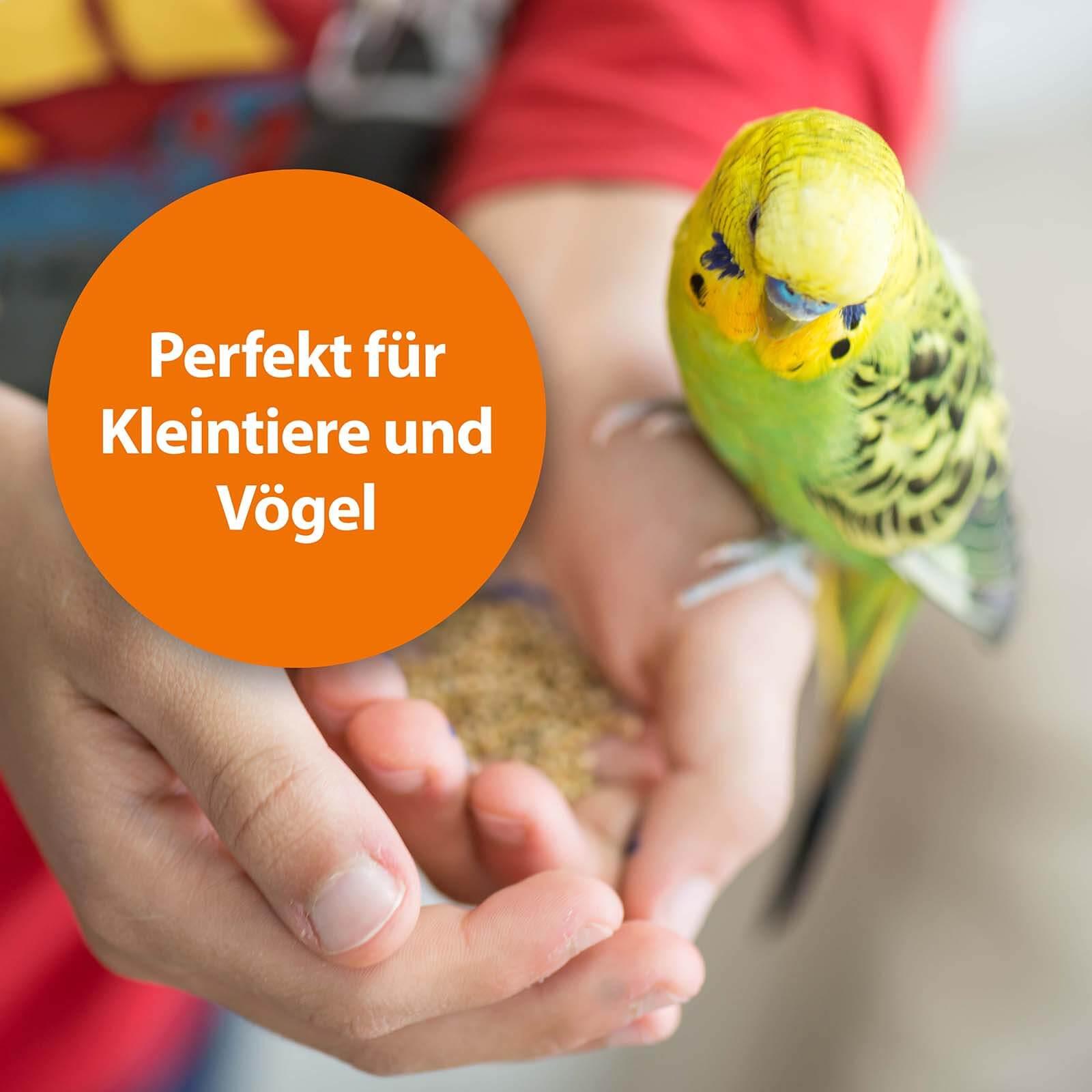 Wellensittich auf Hand mit der Schrift "Perfekt für Kleintiere und Vögel"