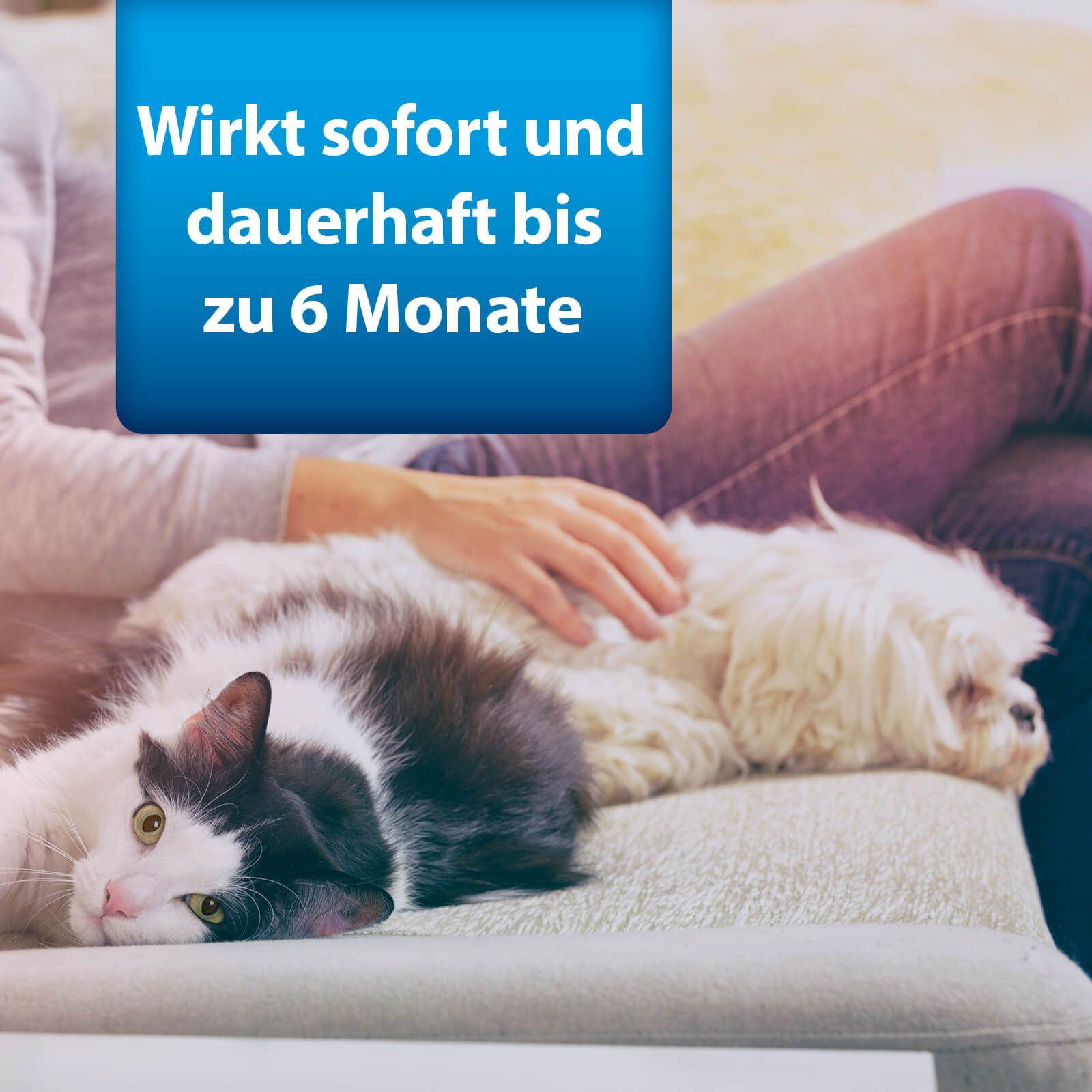 Bild von Hund und Katze auf Sofa mit Text "Wirkt sofort und dauerhaft bis zu 6 Monate"