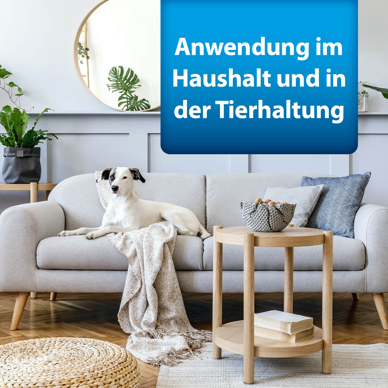 Bild von Hund auf Sofa mit Text "Anwendung im Haushalt und in der Tierhaltung"