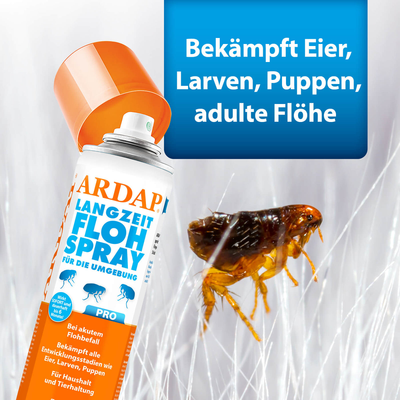 Bild von ARDAP Pro Langzeit Flohspray und Nahaufnahme Floh mit Text "Bekämpft Eier, Larven, Puppen, adulte Flöhe"