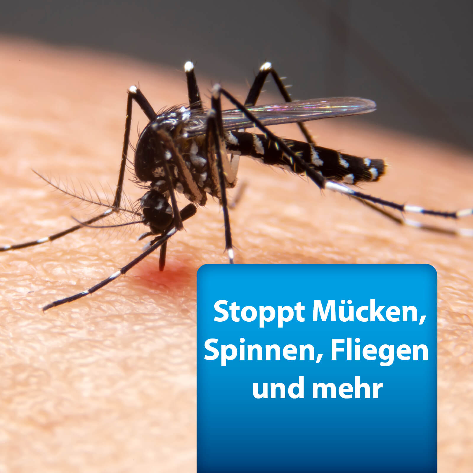 Bild von Mücke die in Haut sticht mit Text "Stoppt Mücken, Spinnen, Fliegen und mehr"
