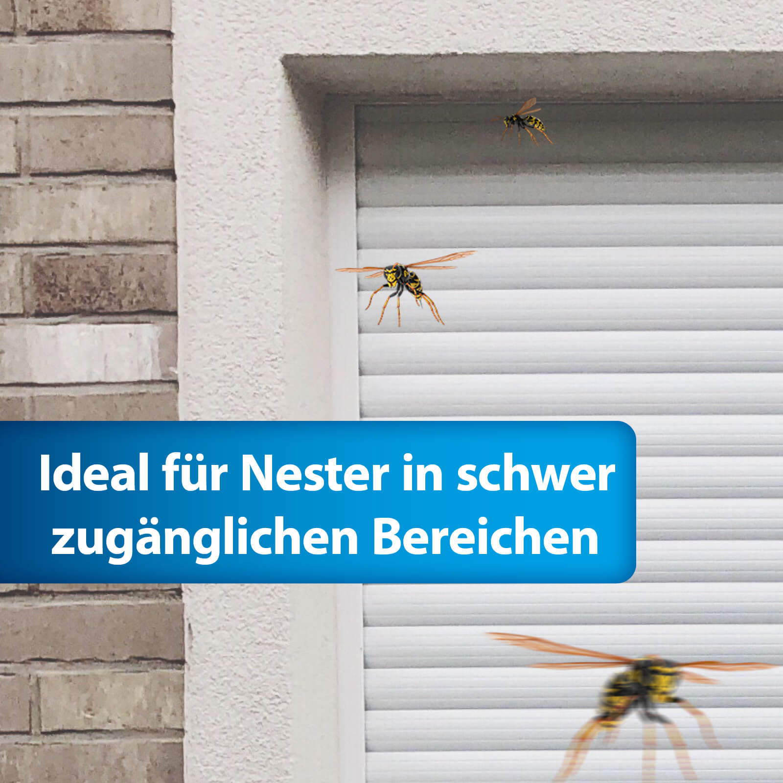 Wespen fliegen an Garagen Hauswand - Ideal für schwer zugängliche Bereiche