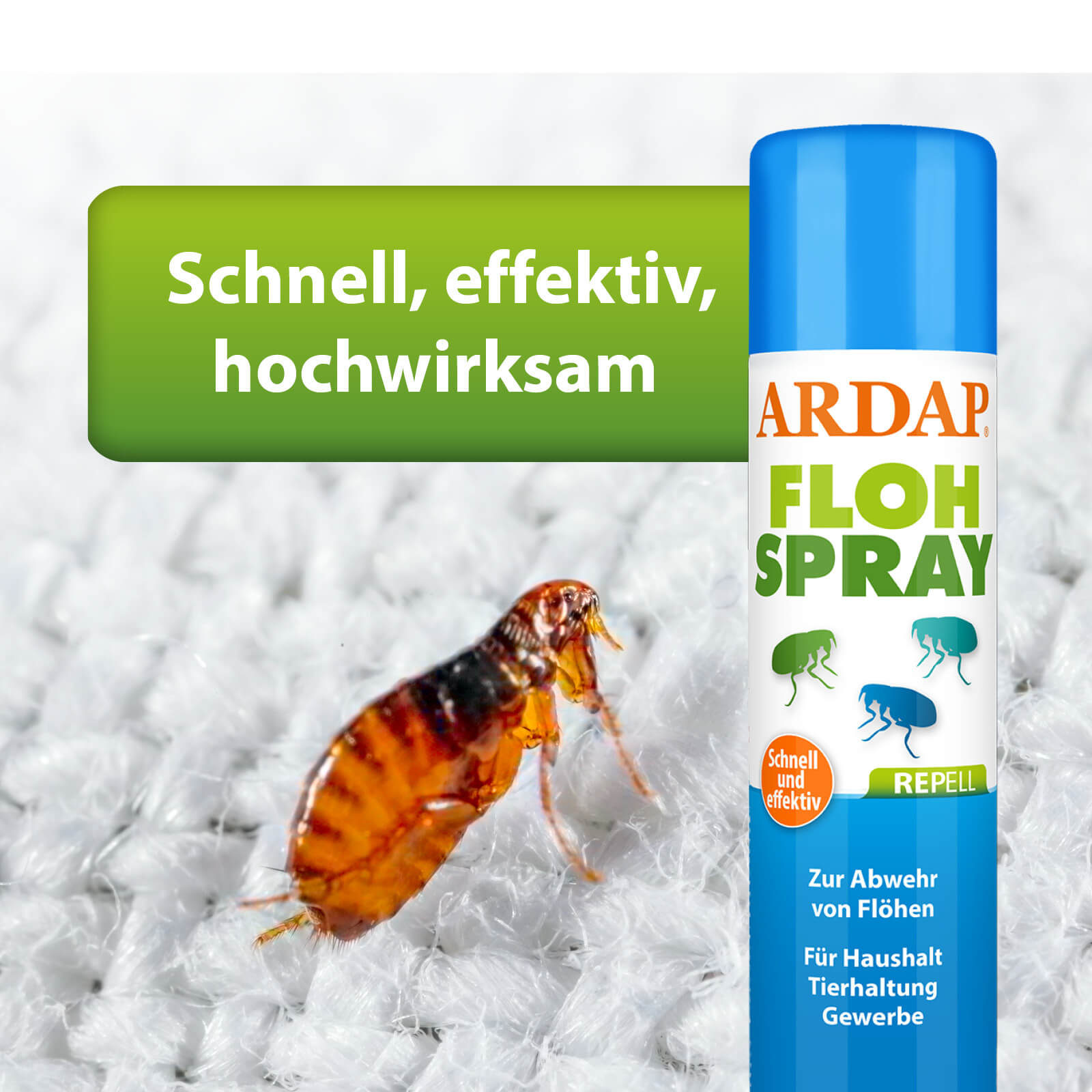 Nahaufnahme Floh, ARDAP Repell Flohspray wirkt schnell, effektiv, hockwirksam