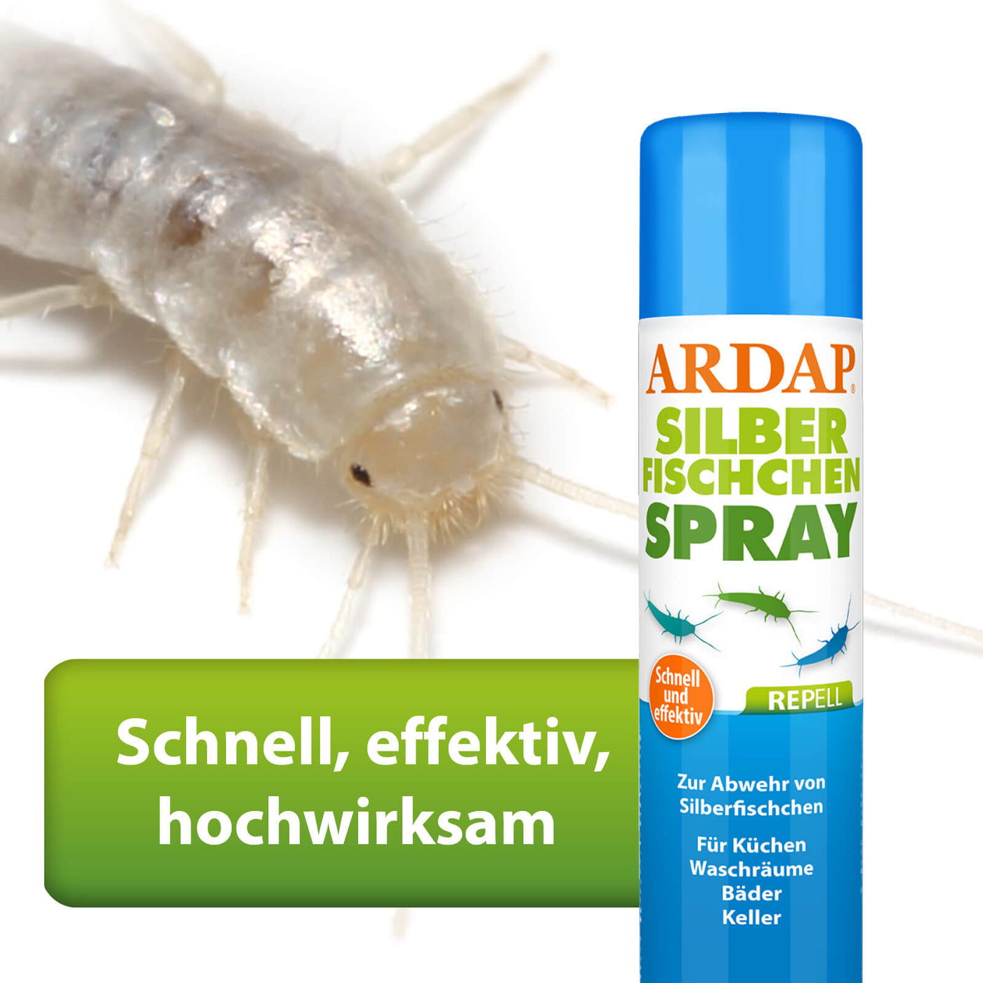 Nahaufnahme von Silberfischchen, ARDAP Repell Silberfischen Spray wirkt schnell und effektiv