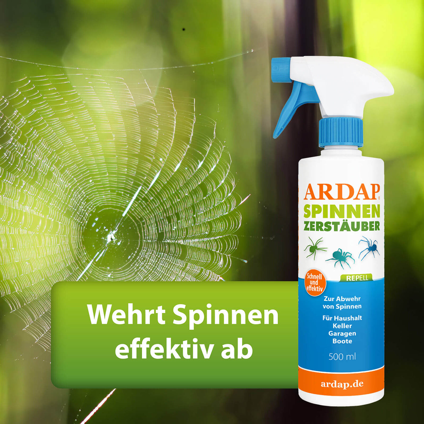 Spinnennetz neben ARDAP Repell Spinnen Zerstäuber - Wehrt Spinnen effektiv ab