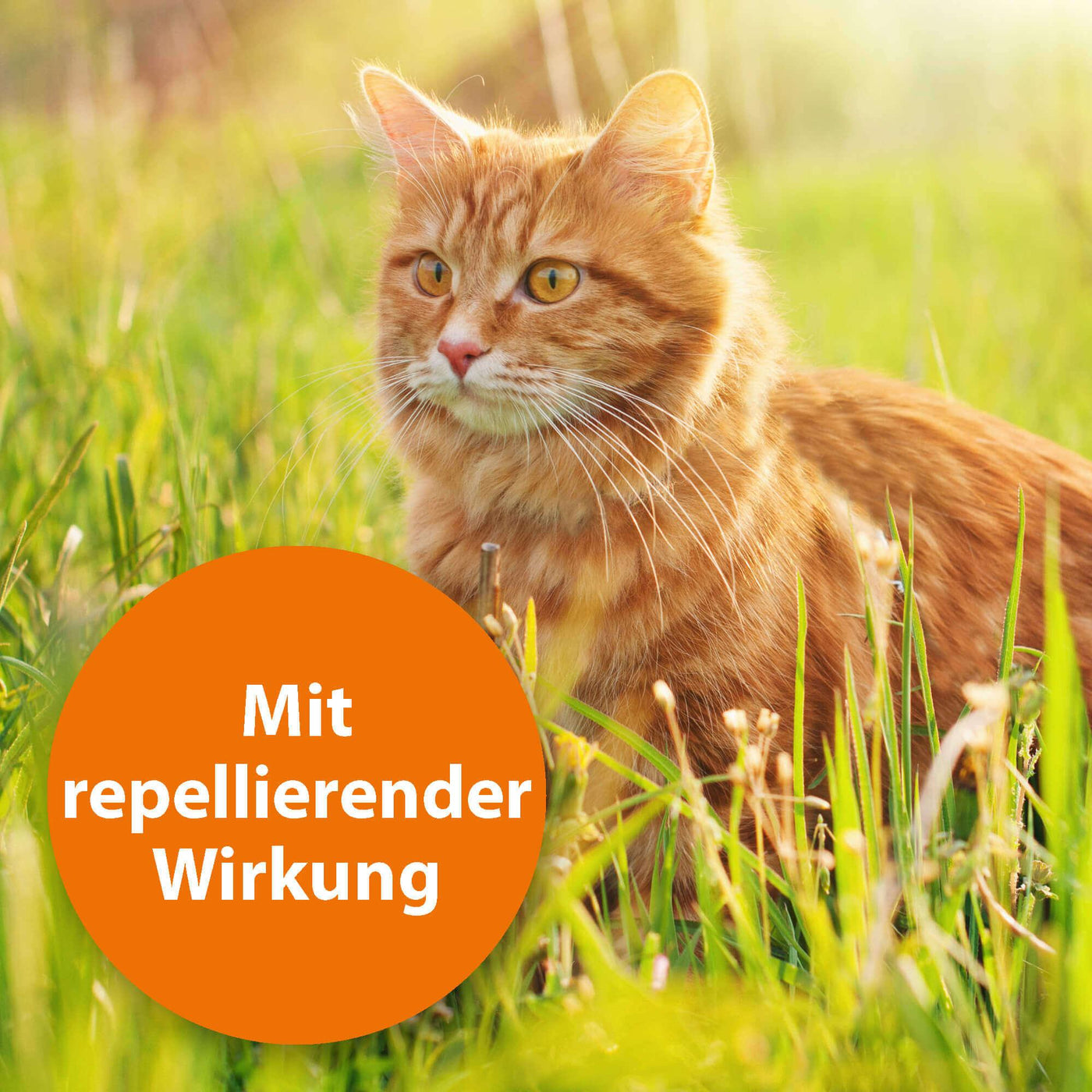 Orangene Katze in hohem Gras mit der Schrift "Mit repellierender Wirkung"
