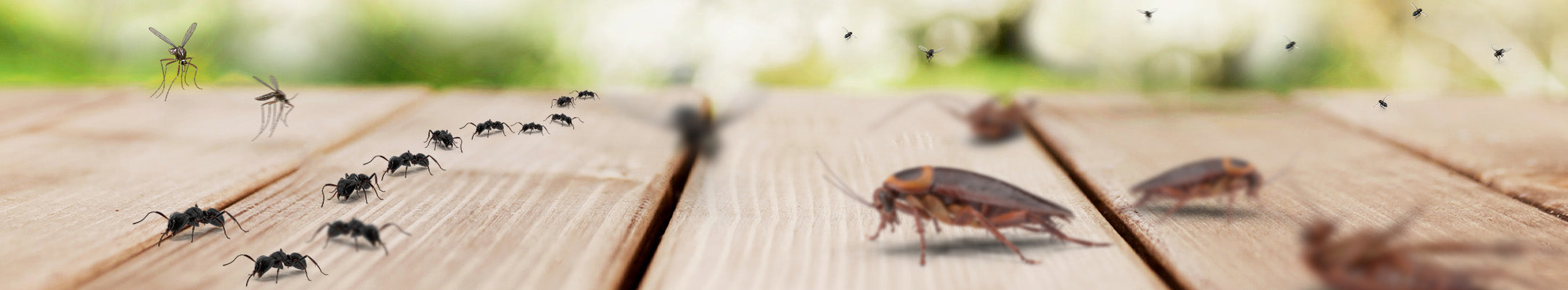 ARDAP Universal Ungeziefer