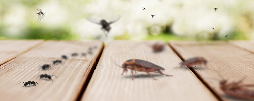 ARDAP Universal Ungeziefer