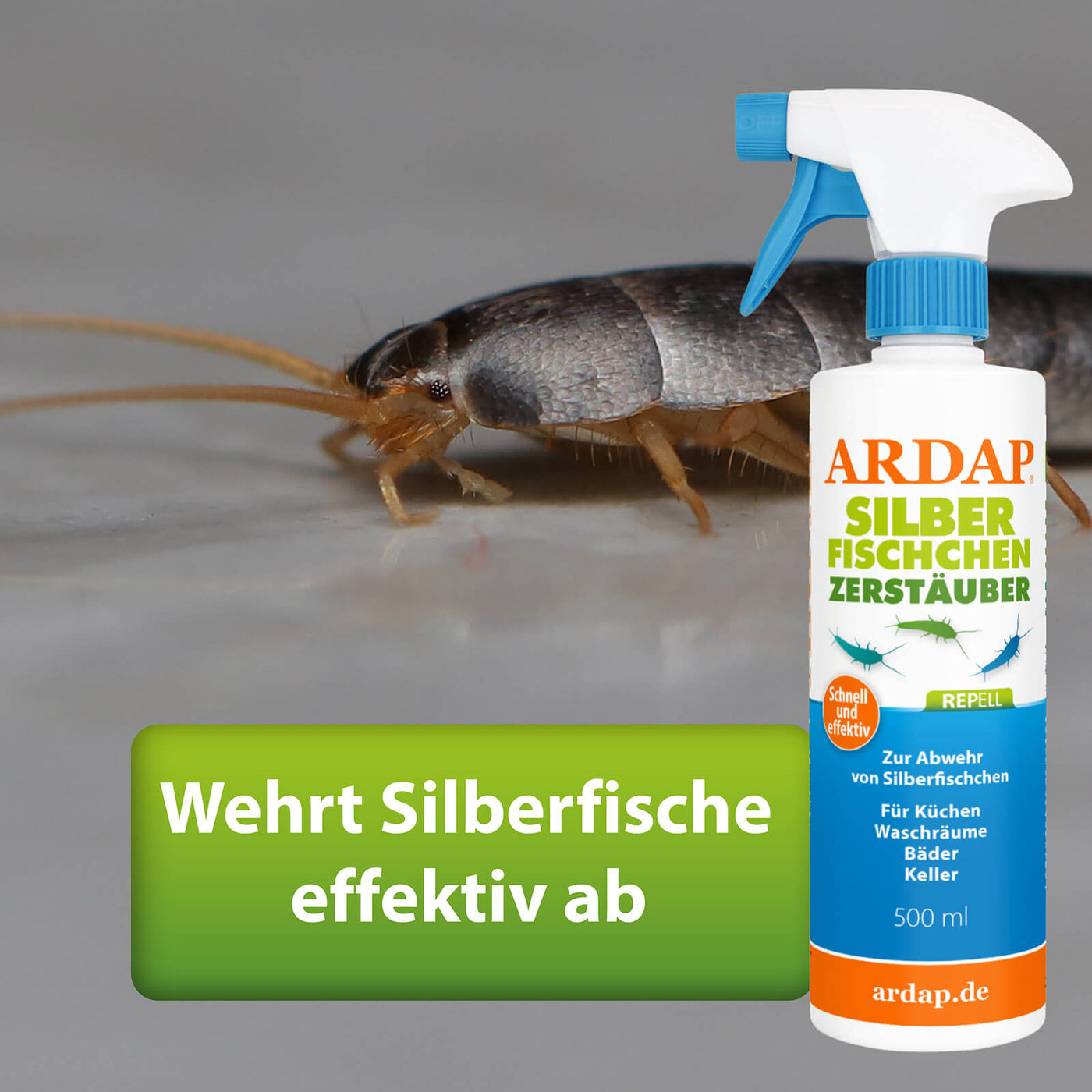 Silberfischchen neben ARDAP Repell Silberfischchen Zerstäuber - Wehrt Silberfische effektiv ab