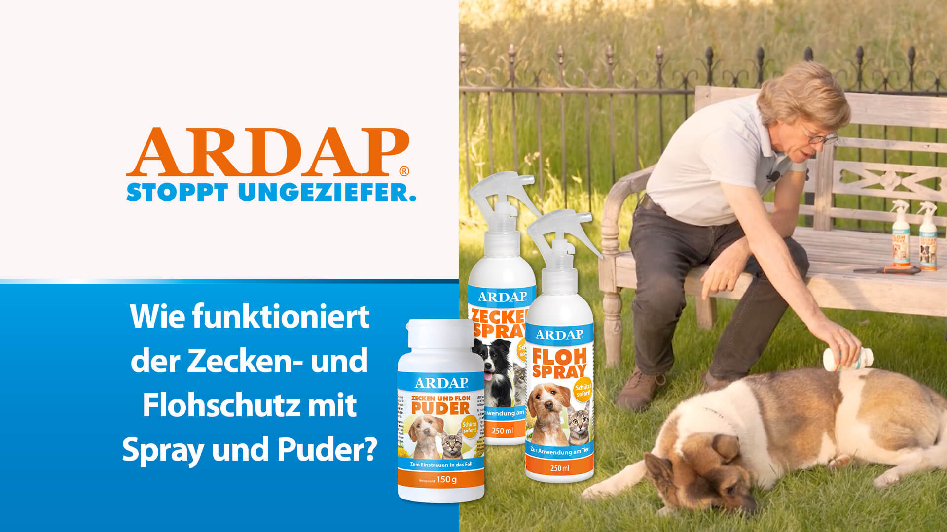 Mann bestreut Hund mit Zecken- und Flohpuder - Wie funktioniert der Zecken- und Flohschutz mit Spray und Puder?