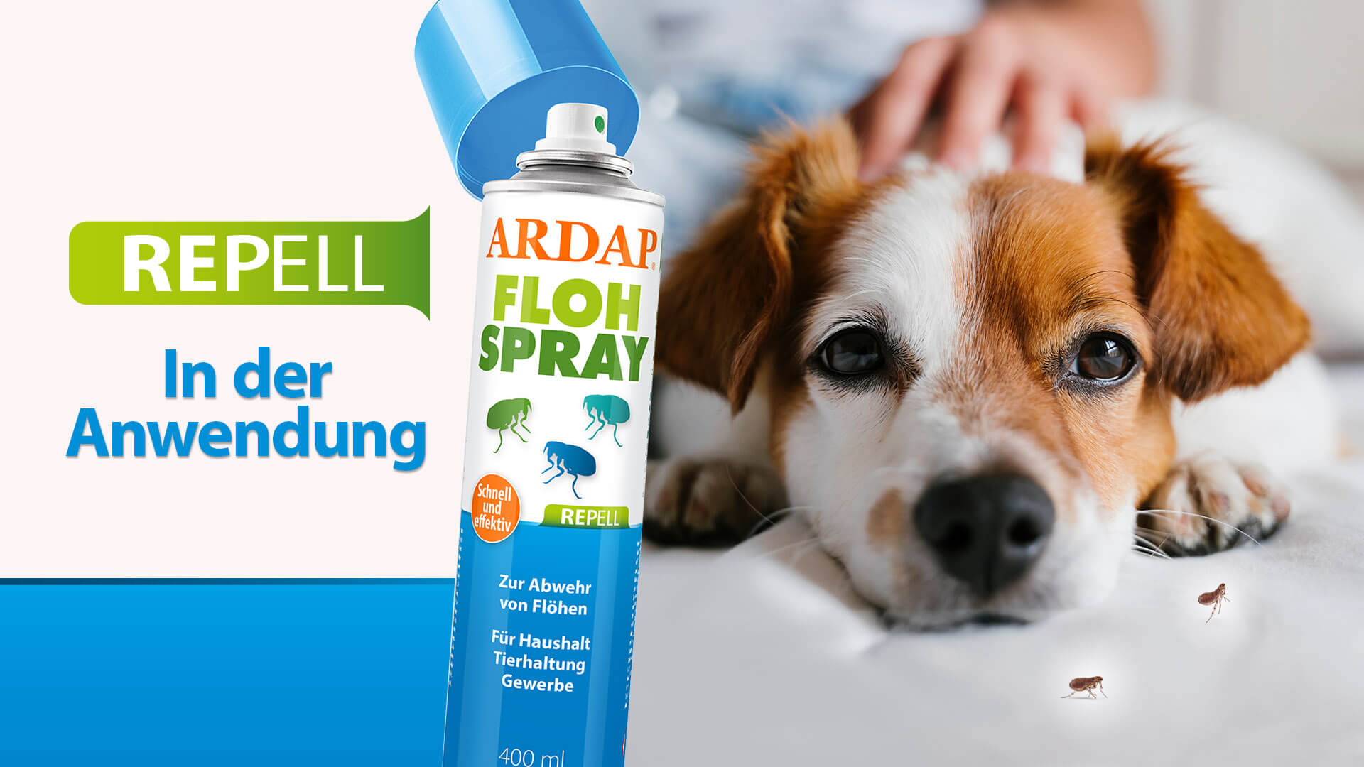 Thumbnail Repell Flohspray desktop