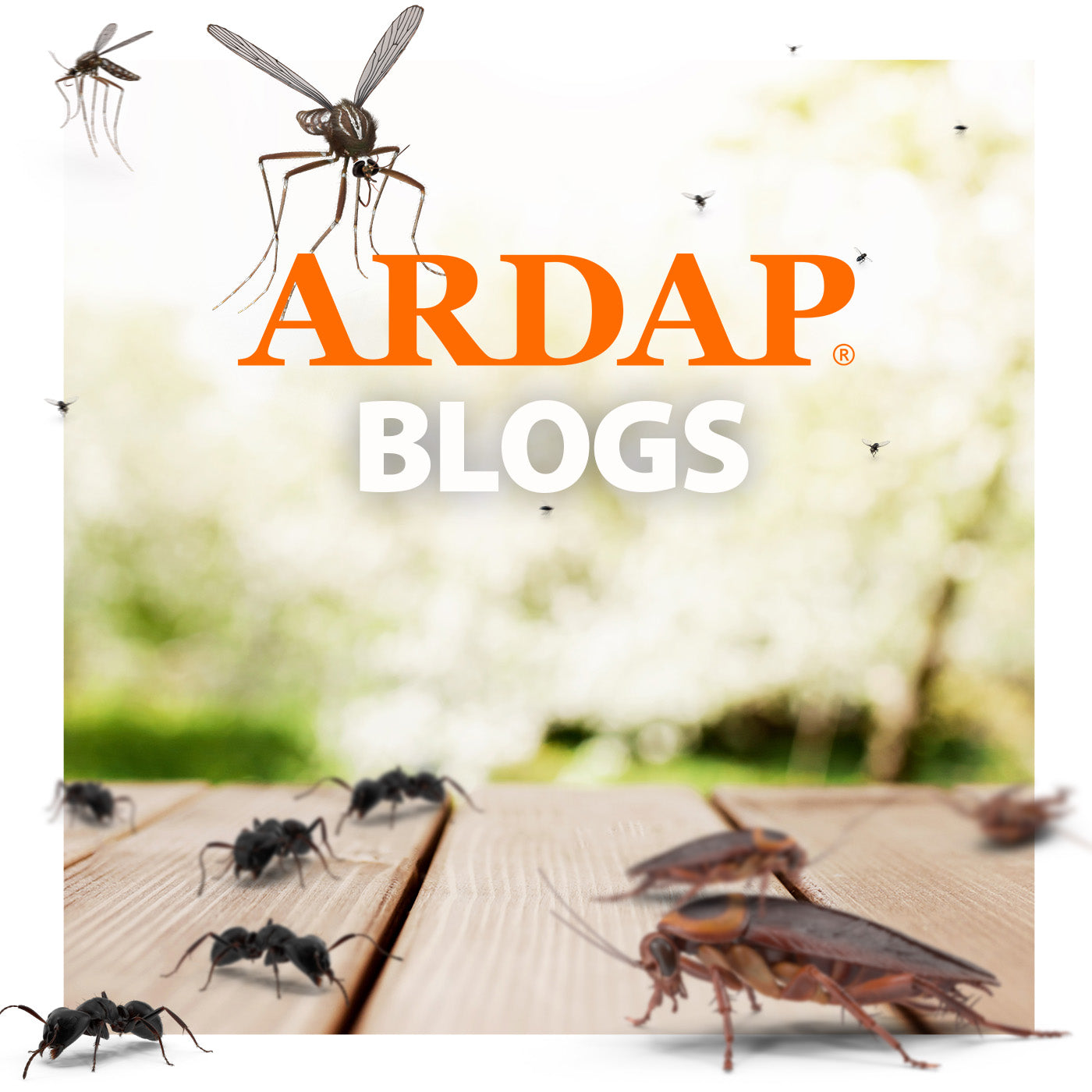 ARDAP Blogs Titelbild mit Ungeziefer- Schaben- Ameisen-Muecken auf Holztisch mit gruenem Hintergrund