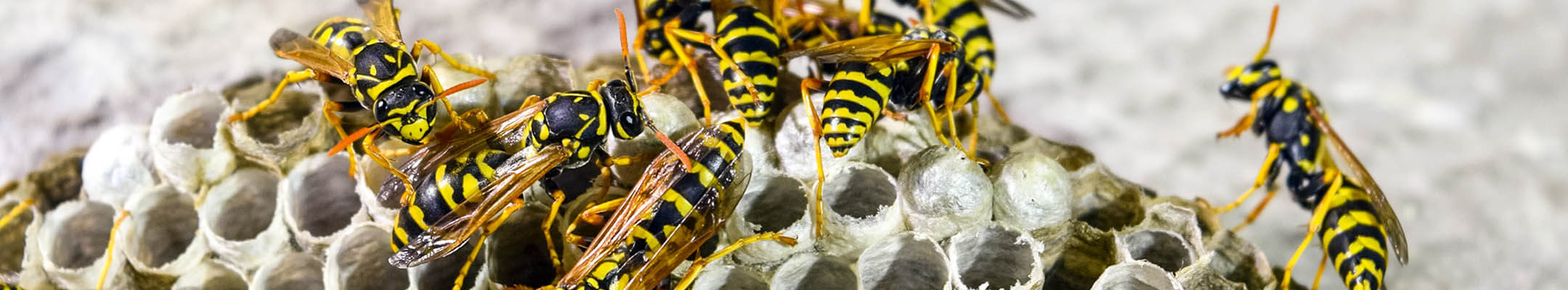 stikcy-product-image