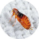 stikcy-product-image