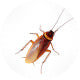stikcy-product-image