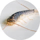 stikcy-product-image