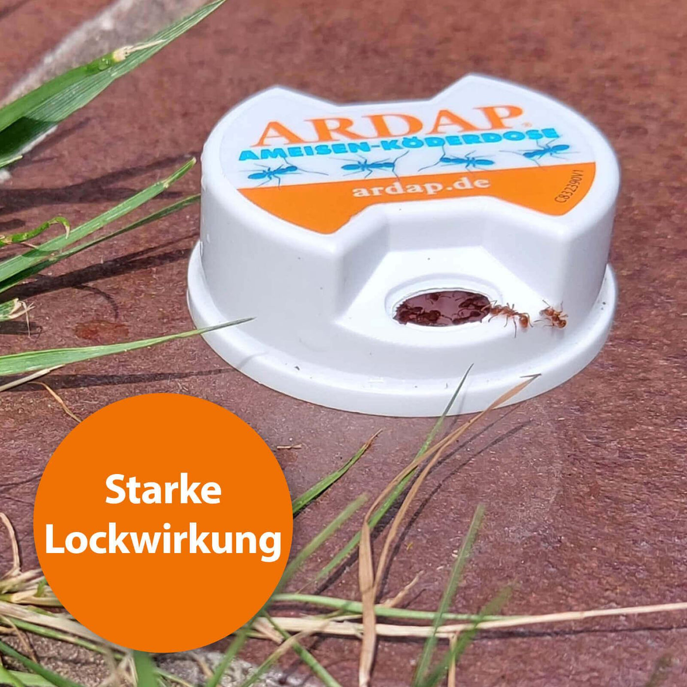 ARDAP Ameisenköderdose auf dem Boden mit der Schrift "Starke Lockwirkung"