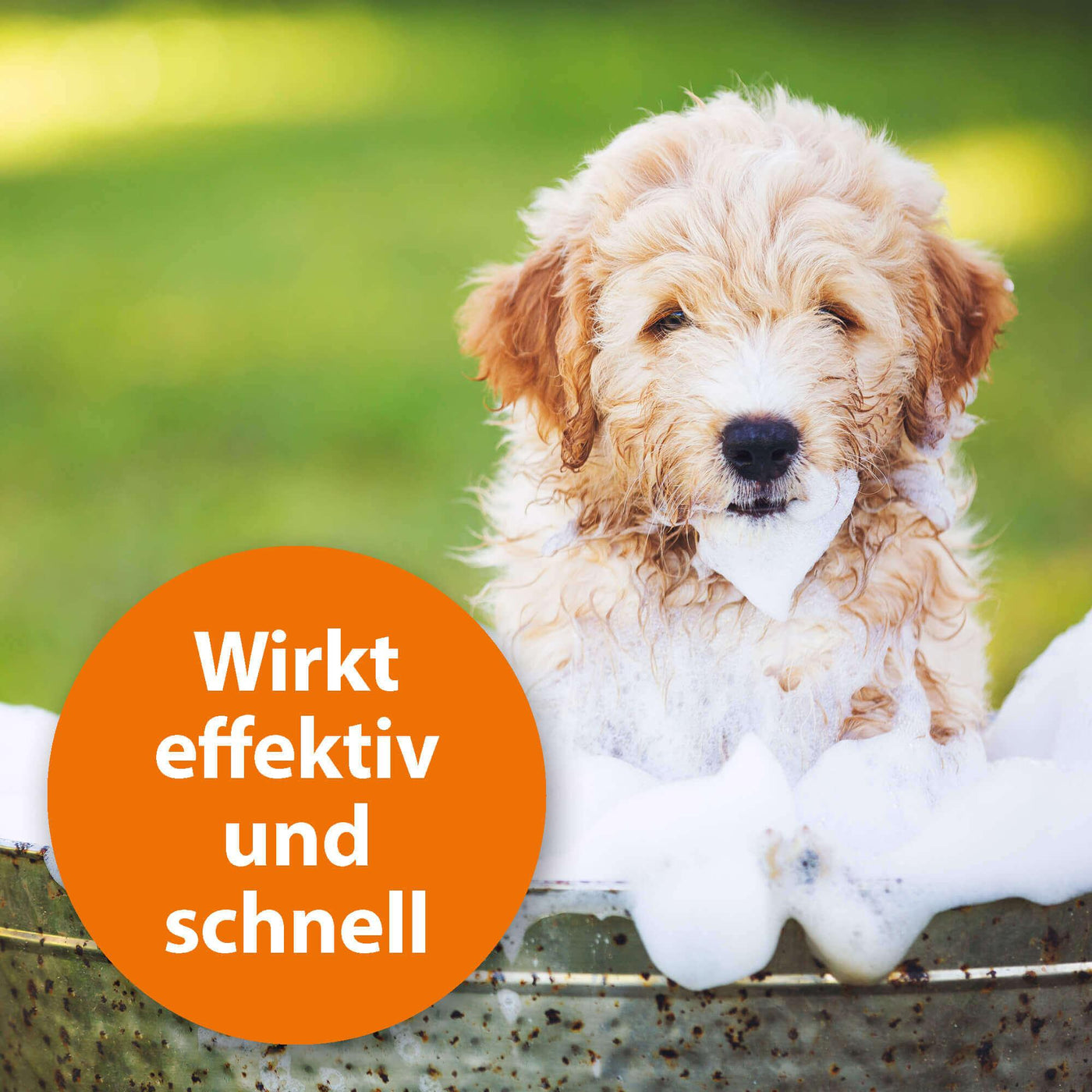 Hund mit Badeschaum am Fell mit der Schrift "Wirkt effektiv und schnell"