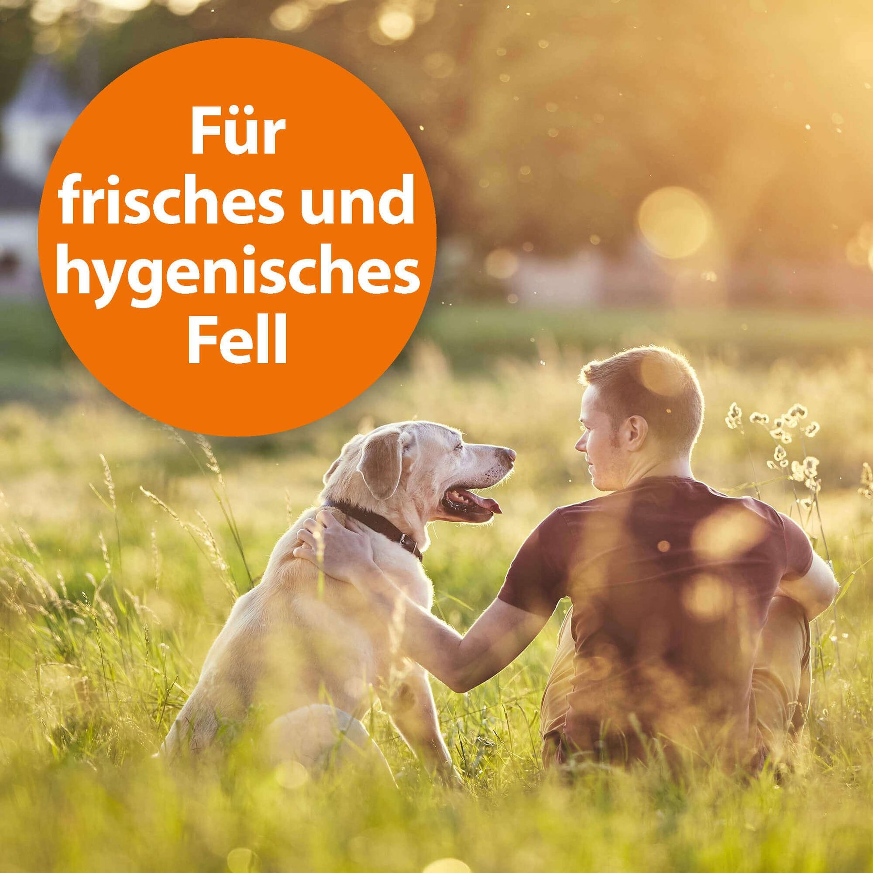 Herrchen mit seinem Hund sitzt auf Wiese mit der Schrift "Für frisches und hygienisches Fell" 