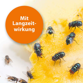 Fliegen an Obst mit der Schrift "Mit Langzeitwirkung"