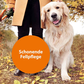 Hund mit Frauchen im Laub mit der Schrift "Schonende Fellpflege"