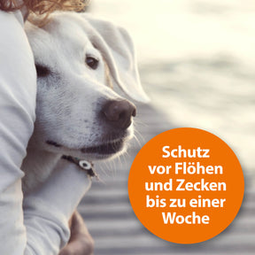Frauchen umarmt Ihren Hund mit der Schrift "Schutz vor Flöhen, Zecken und Fliegen bis zu einer Woche"