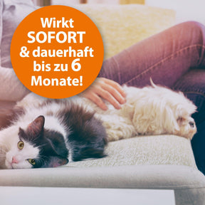 Katze und Hund auf dem Sofa mit der Schrift "Wirkt sofort und dauerhaft bis zu 6 Monate"