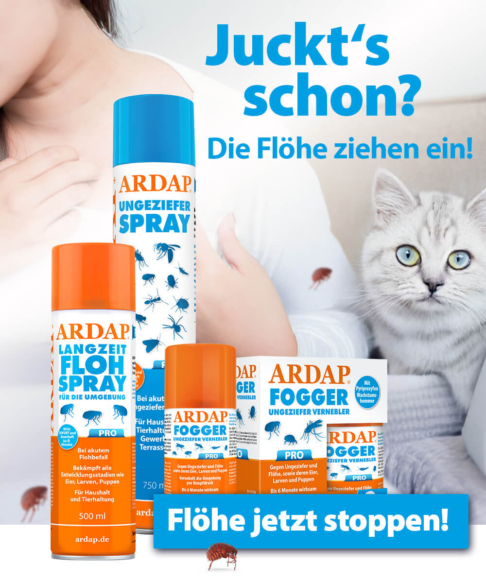 ARDAP-Saisonaler Header Floh- Juckts schon? - Die Flohsaison beginnt- Flöhe jetzt stoppen - ARDAP Ungezieferspray - ARDAP Langzeitflohspray - ARDAP Fogger- Frau die sich kratzt und hellgraue Katze auf Sofa