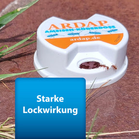 Bild von Ameisen die aus ARDAP Pro Ameisen Köderdose laufen mit Text "Starke Lockwirkung"