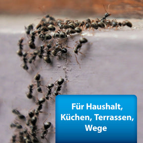 Ameisenstraße - Für Haushalt Küchen, Terrassen, Wege