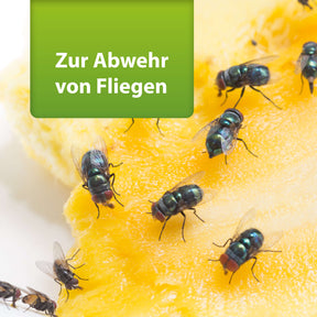 Bild von Fliegen auf Obstresten mit Text "Zur Abwehr von Fliegen"