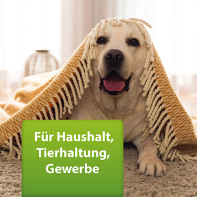 Bild von Labrador unter Decke, ARDAP Repell Flohspray für Haushalt, Tierhaltung, Gewerbe