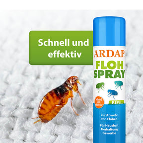 Nahaufnahme von einem Floh, ARDAP Repell Flohspray wirkt schnell und effektiv