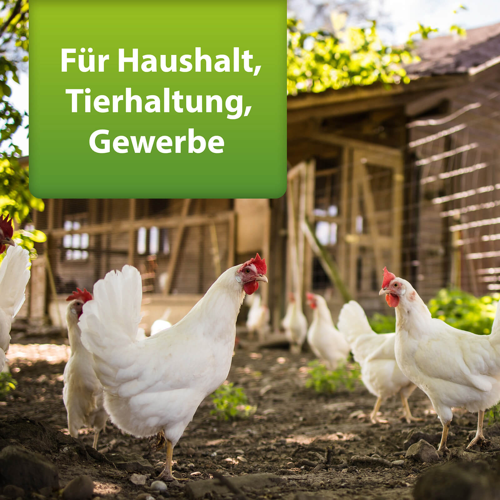 Bild von Hühnern, ARDAP Repell Milbenspray für Haushalt, Tierhaltung, Gewerbe