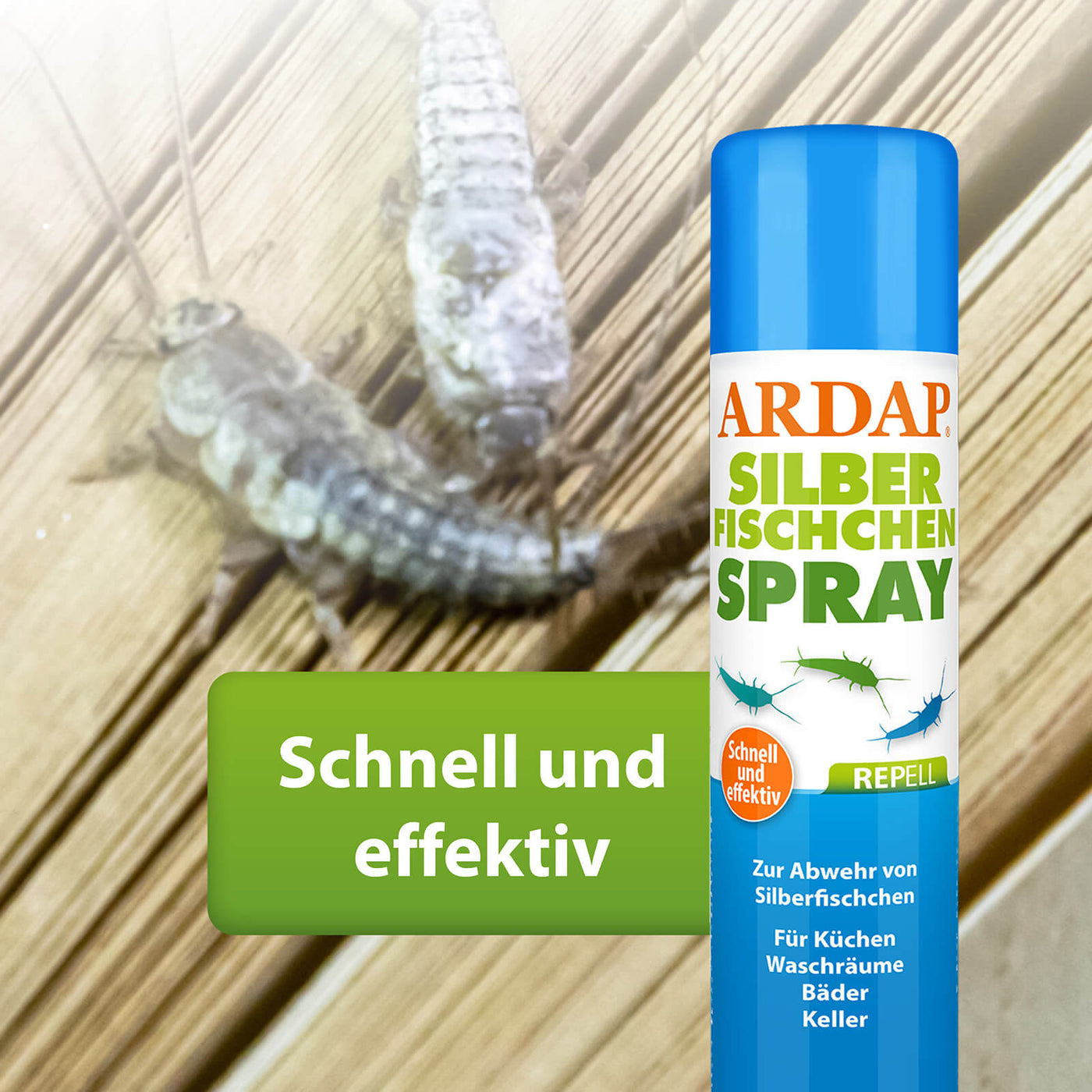 Nahaufnahme von Silberfischchen, ARDAP Repell Silberfischen Spray wirkt schnell und effektiv