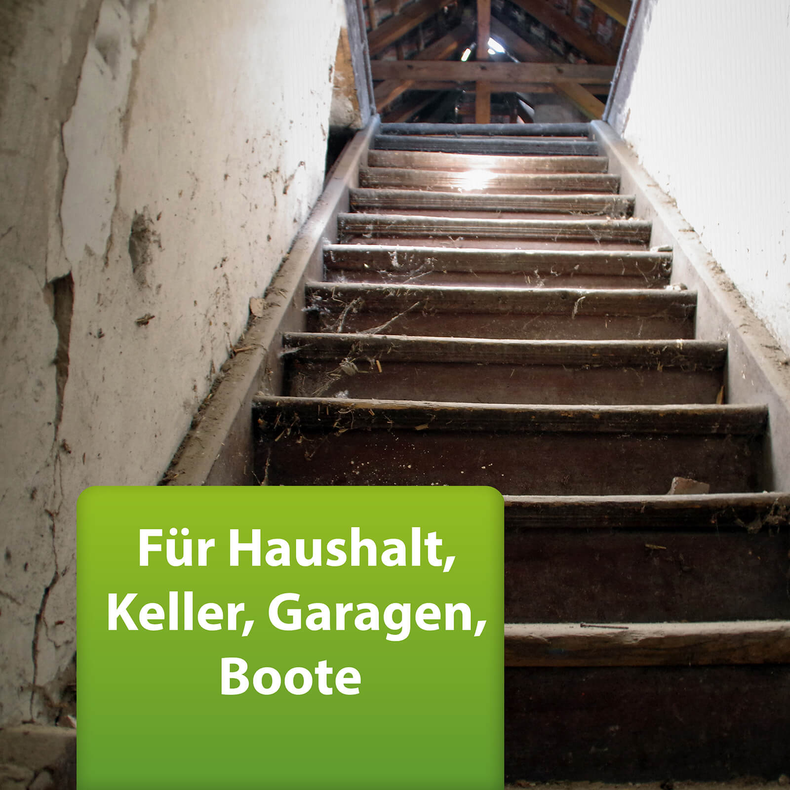 Bild von alter Kellertreppe, ARDAP Repell Spinnenspray für Haushalt, Keller, Garagen, Boote