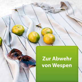 Bild von Wespen die um Limetten fliegen, ARDAP Repell Wespenspray zur Abwehr von Wespen