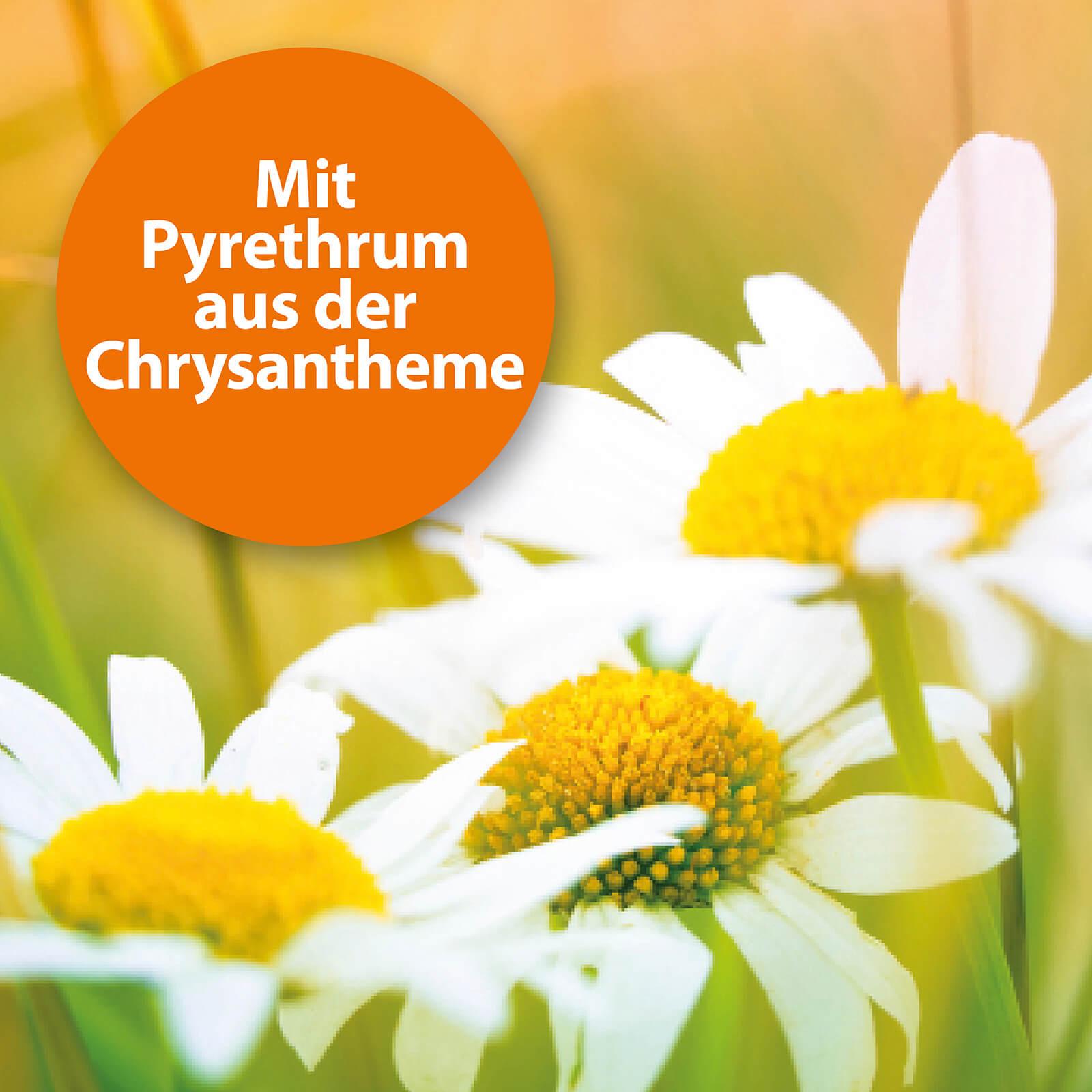 Blumen mit der Schrift "Mit dem Wirkstoff Pyrethrum aus der Chrysantheme"