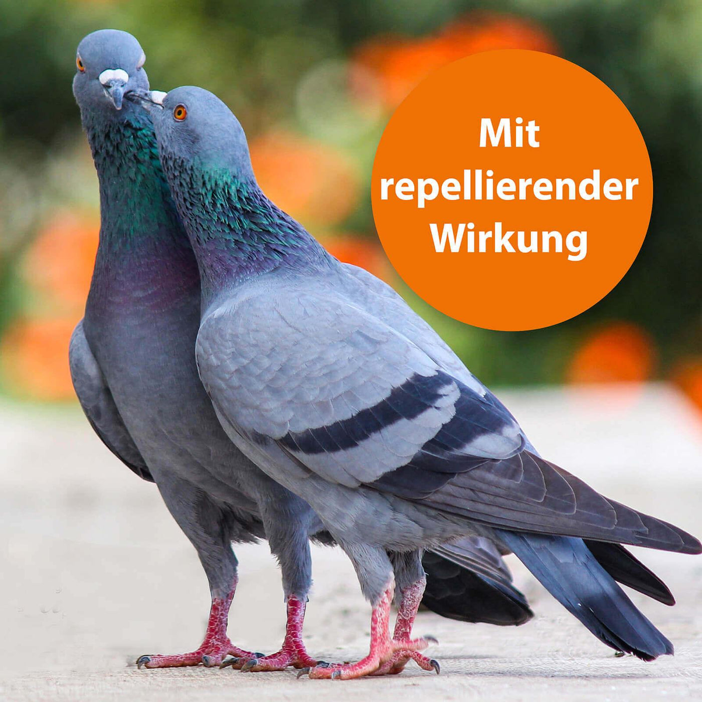 Zwei küssende Tauben mit der Schrift "Mit repellierender Wirkung"