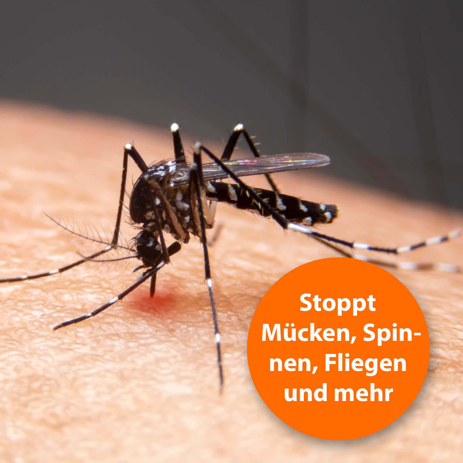 Mücke sticht auf Haut mit der Schrift "Stoppt Mücken, Spinnen, Fliegen und mehr