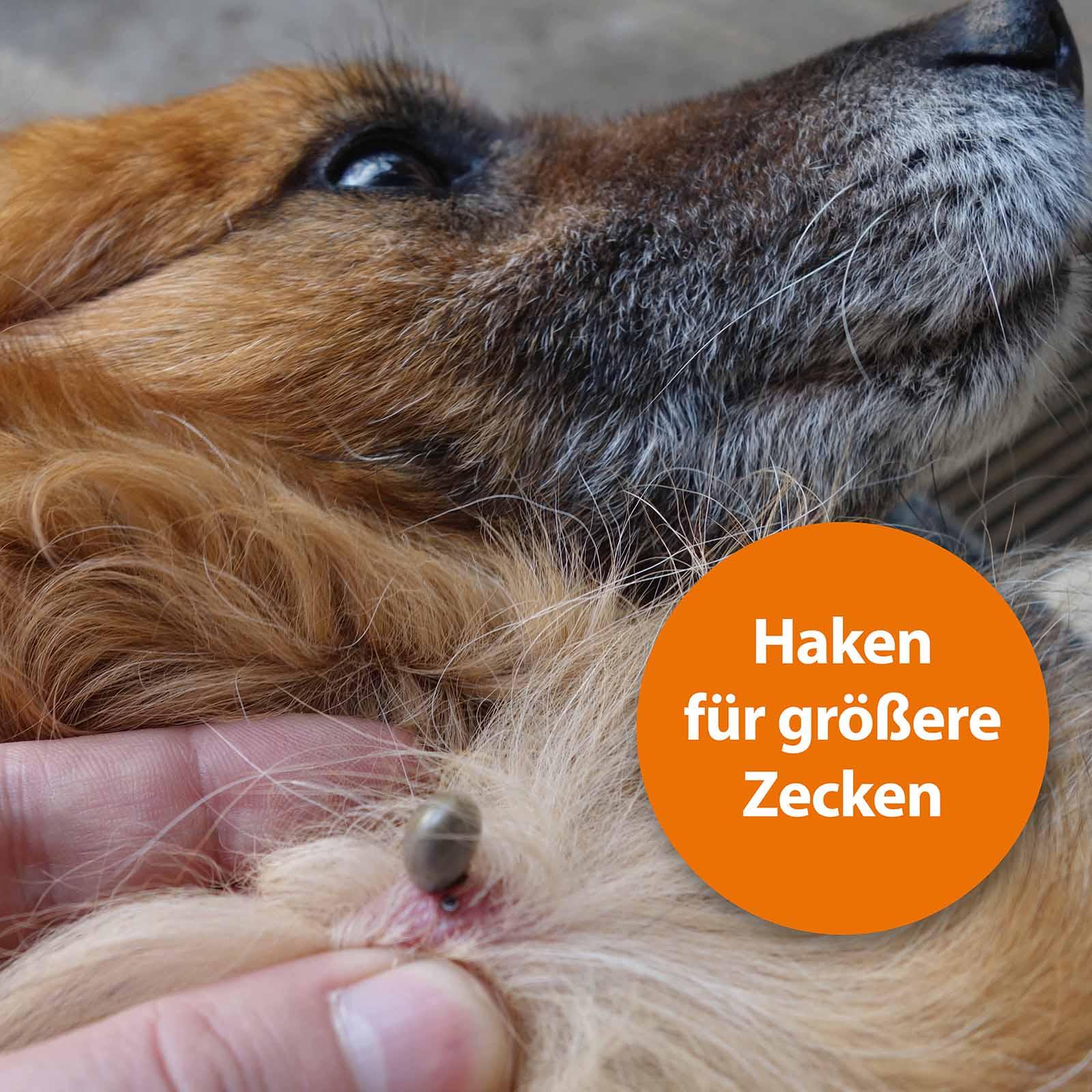 Hund mit Zecke im Fell mit der Schrift "Haken für größere Zecken"