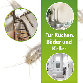 Alte Treppe, Spüle, Bad - Für Küchen. Bäder und Keller