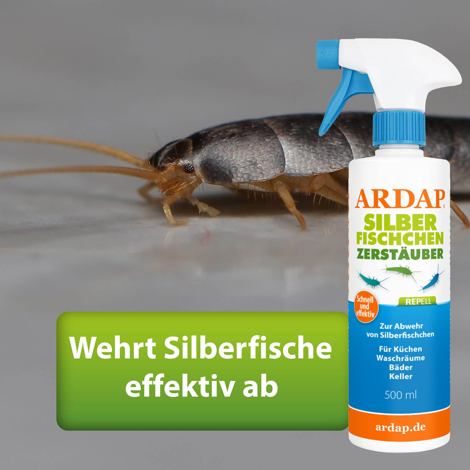 Silberfischchen neben ARDAP Repell Silberfischchen Zerstäuber - Wehrt Silberfische effektiv ab